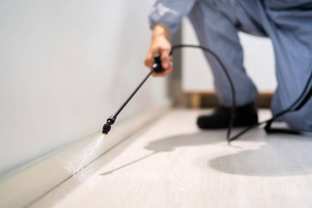 Licensed Mosquito Control service in Naples, TX - Show Me Pest Control
