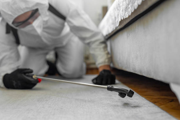 Professional Ant Control technician working in Naples, TX