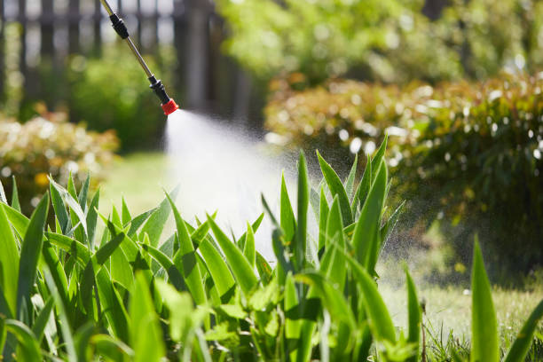 24/7 Emergency Mosquito Control experts in Naples, TX