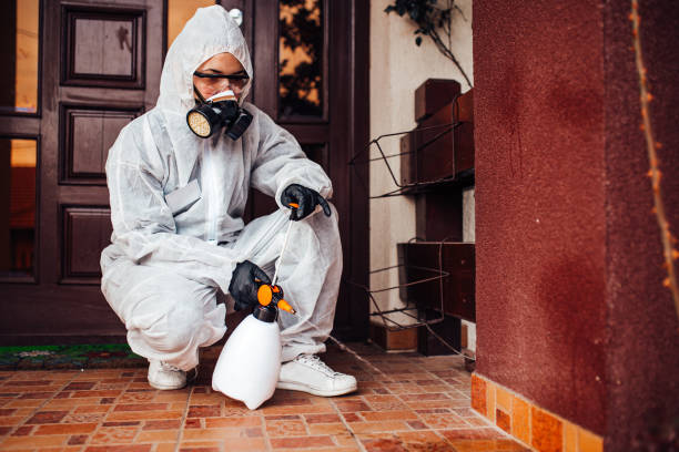 Reliable Mosquito Control contractor in Naples, TX by Show Me Pest Control