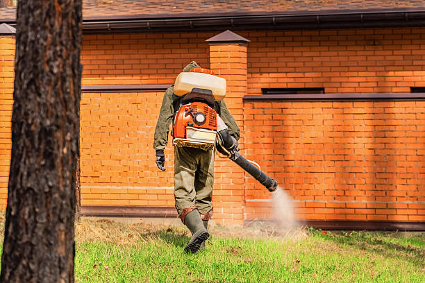 Top rated local Mosquito Control specialists in Naples, TX